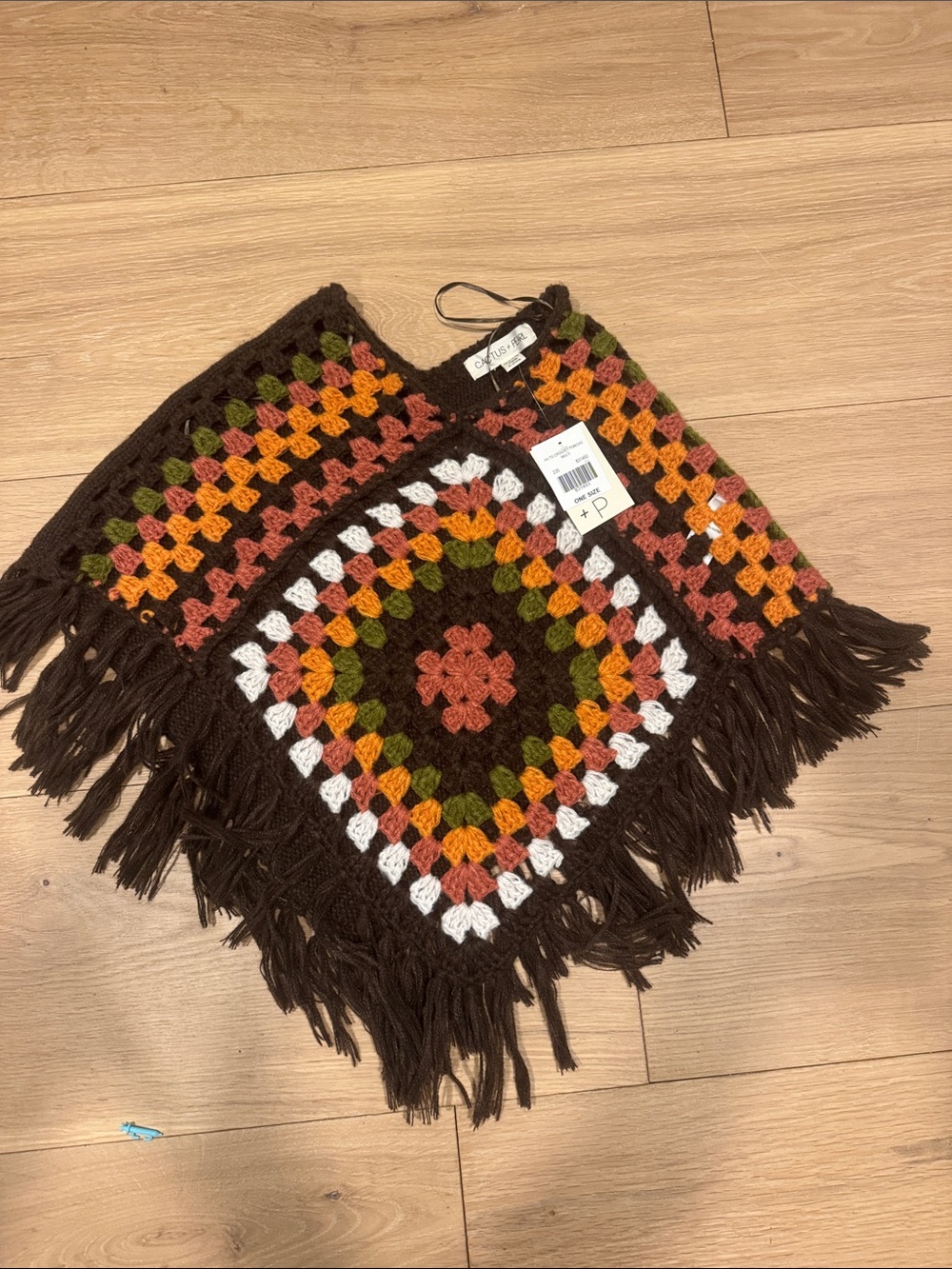 Cactus Brown Crochet Fringe Poncho with Autumn Accents